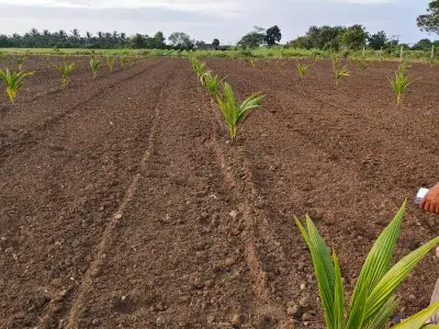 જમીન વેચવાની છે 5.5 જમીન વેચવાની છે 5.5