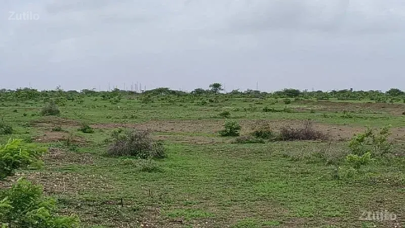 જમીન વેચવાની છે - મોબાઈલ 8928481945 - જમીન અને પ્લોટ - લાલપુર - Image 3