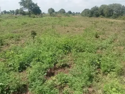 રોડ ટચ જમીન વેચવાની છે રોડ ટચ જમીન વેચવાની છે