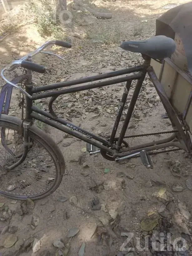 Pedal Rickshaw Cargo Cycle Cart - સાયકલ - અમદાવાદ શહેર - Image 2