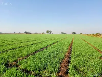 જમીન વેચવાની છે જમીન વેચવાની છે