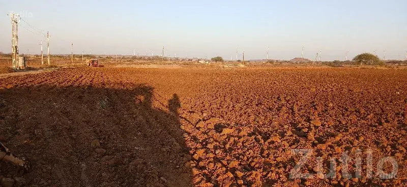 Green Fertile Agriculture Land Plot Sale - જમીન અને પ્લોટ - જામજોધપુર - Image 3