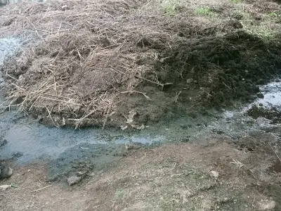 Desi Chhaniyu Organic Manure Bulk Desi Chhaniyu Organic Manure Bulk