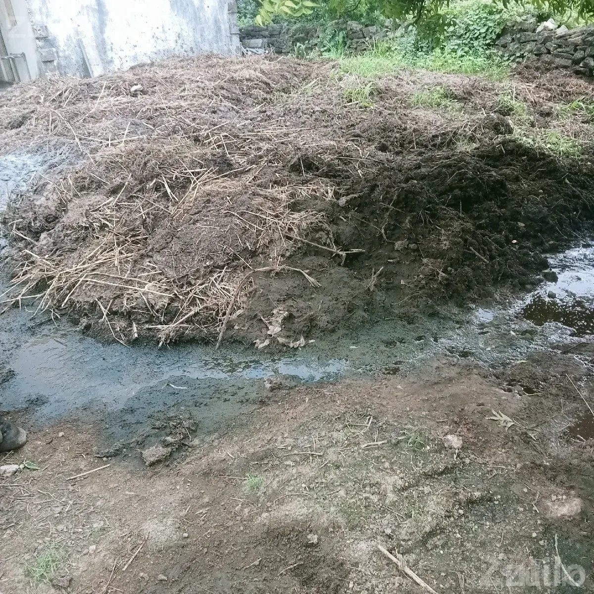Desi Chhaniyu Organic Manure Bulk - Land & Plots - Ranavav - Image 1