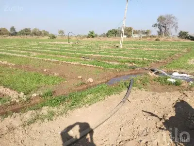 Irrigated Agricultural Land for Sale Irrigated Agricultural Land for Sale