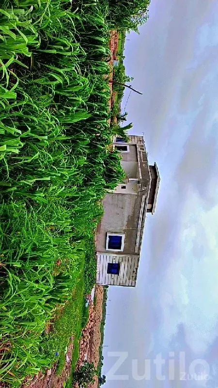 Fertile Agriculture Land in Bhanvad - Land & Plots - Bhanvad - Image 2