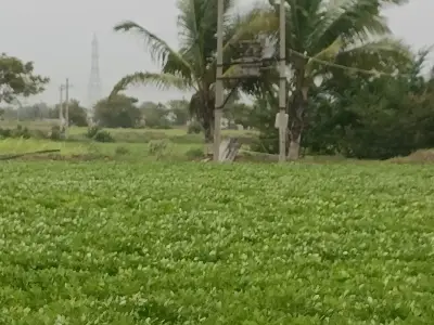 jamin vechavani se