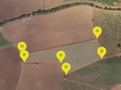 Fertile Agricultural Land Surendranagar Fertile Agricultural Land Surendranagar