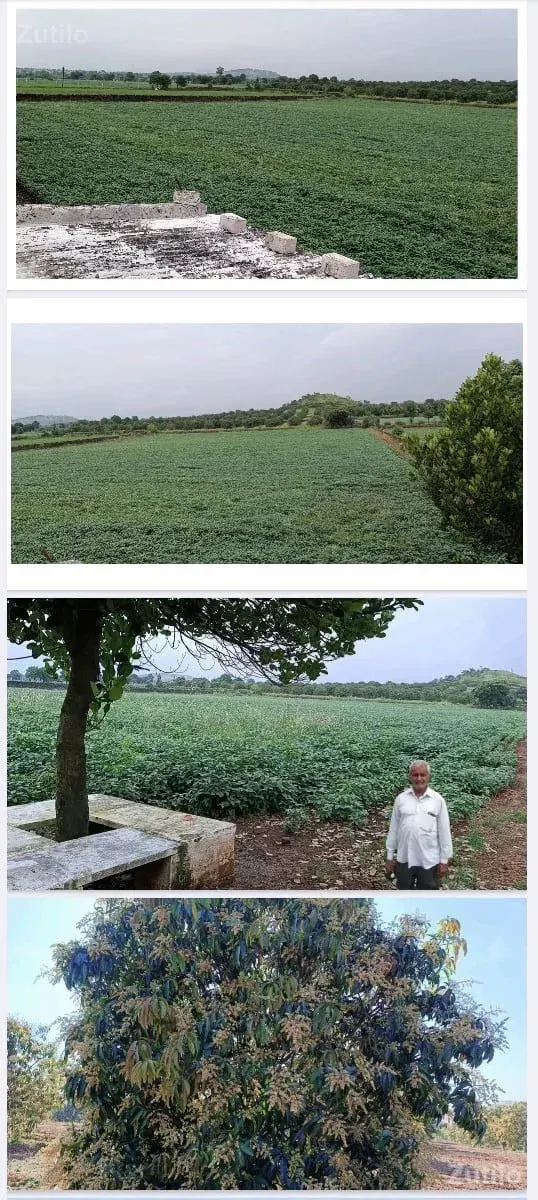 ખેતી ની જમીન વેચવાની છે - જમીન અને પ્લોટ - ઊના - Image 3