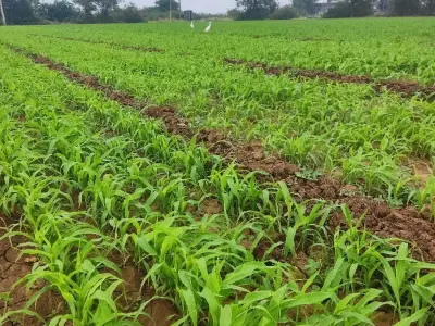 જમિન વેચવાની છે જમિન વેચવાની છે