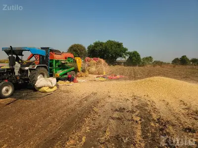 9 Bigha Agricultural Land for Sale