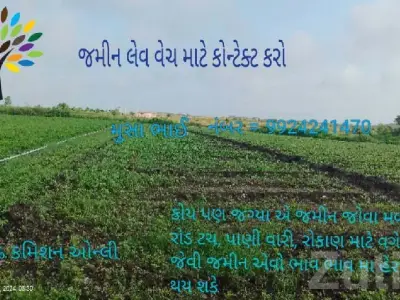 Jamjodhpur Agricultural Land for Sale Jamjodhpur Agricultural Land for Sale