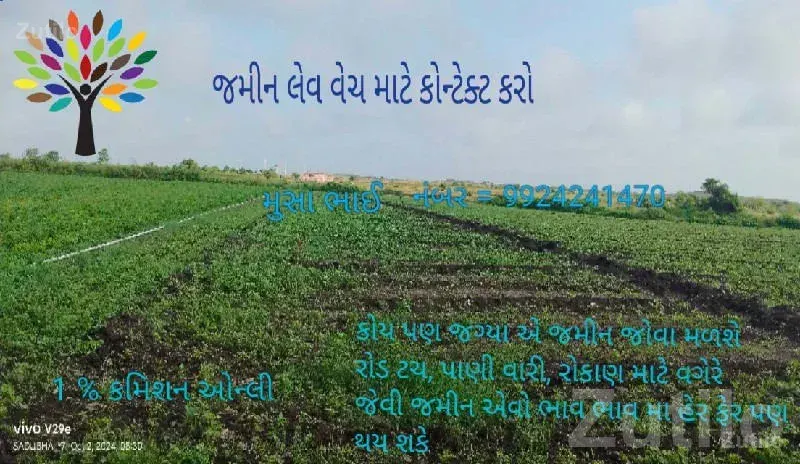 Jamjodhpur Agricultural Land for Sale - જમીન અને પ્લોટ - જામજોધપુર - Image 1