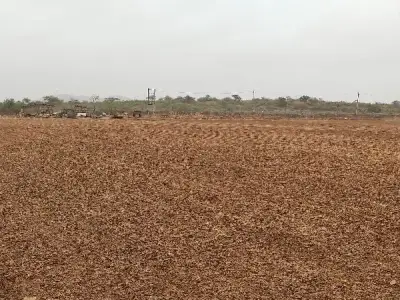 20 વિઘા જમીન છે 20 વિઘા જમીન છે
