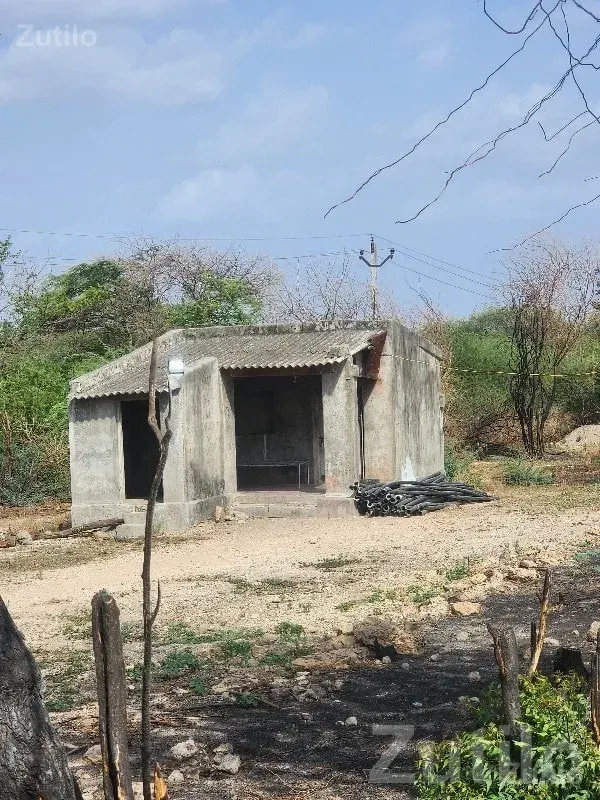 12 Vigha Irrigated Farmland Plot - જમીન અને પ્લોટ - ધોરાજી - Image 3