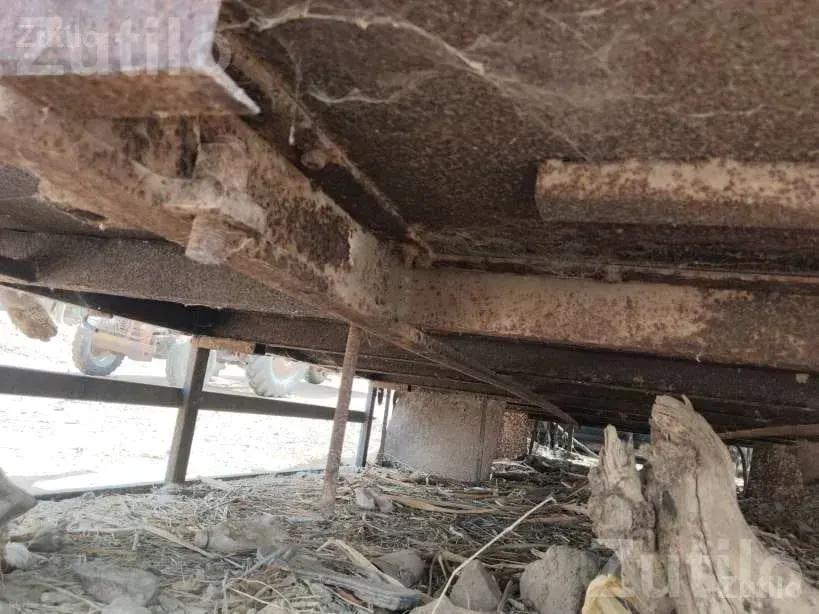 Vehicle Trolley Body with Underframe - ઓટો પાર્ટ્સ - રાપર - Image 3