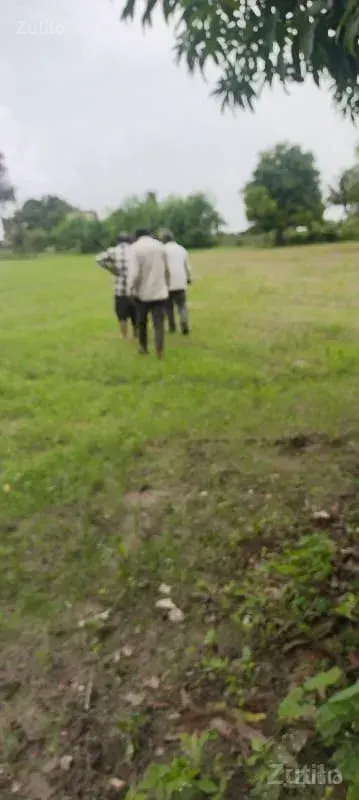 જમીન વેચવાની છે - Land & Plots - Somnath - Image 2
