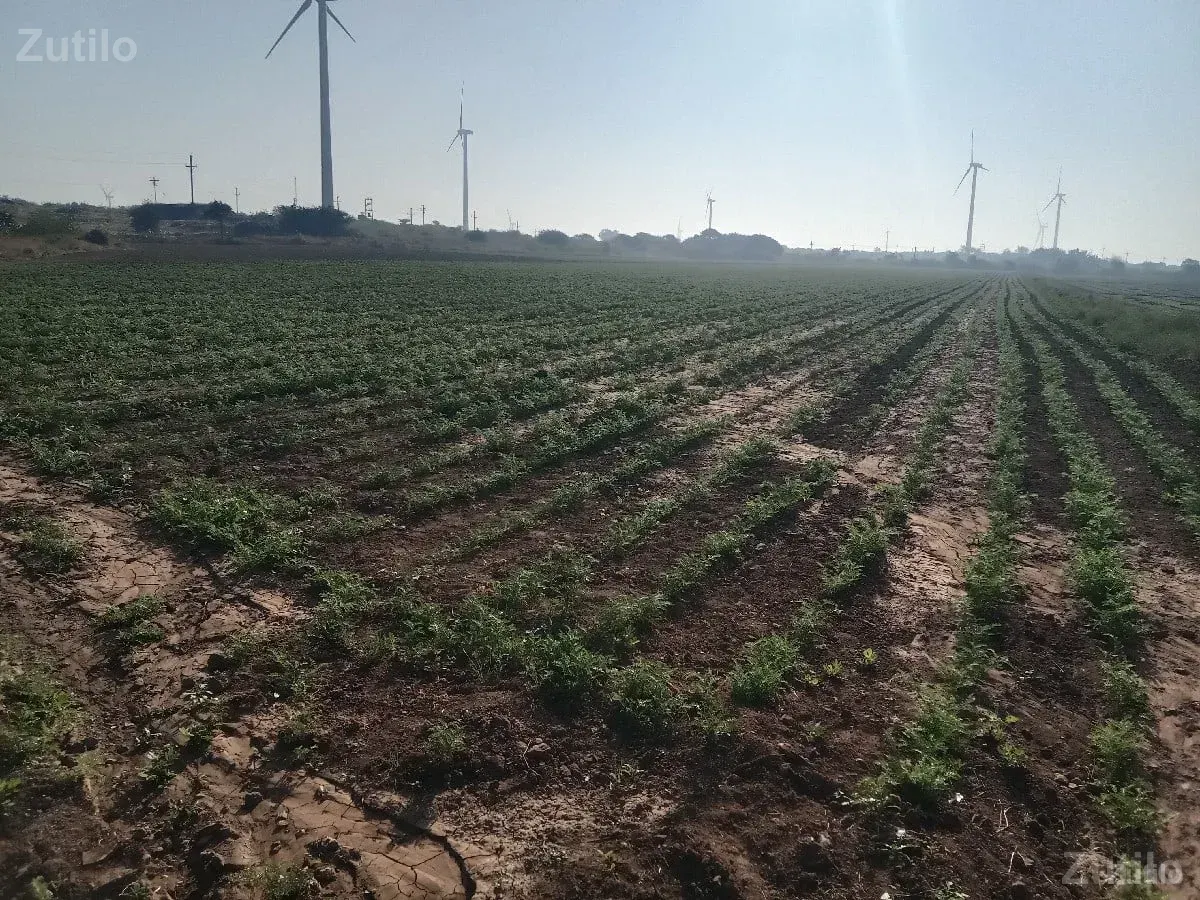 ૧૧૦૦૦૦૦ વીઘો કુલ ૨૨ વીઘા - Land & Plots - Bhanvad - Image 3