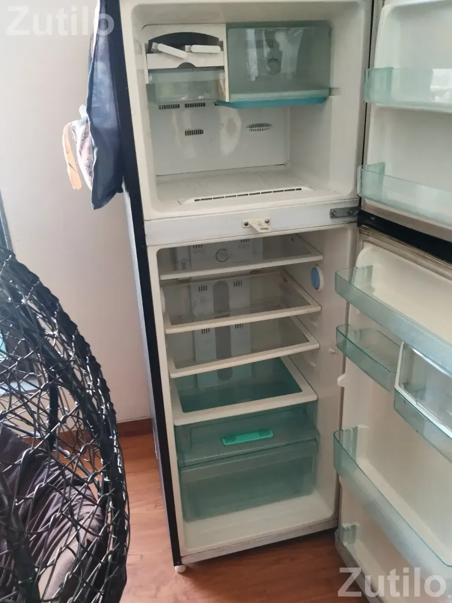 Black lily dlouble door refrigerator - ફ્રિજ - અમદાવાદ શહેર - Image 2