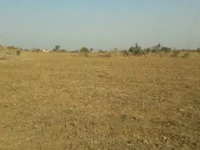 Dalakhaniya Open Agricultural Plot Dalakhaniya Open Agricultural Plot