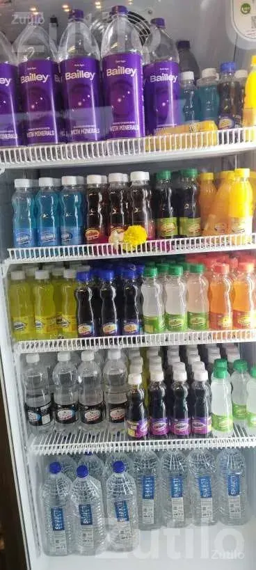 Elanpro Commercial Display Refrigerator - Refrigerators - Ghogha - Image 2