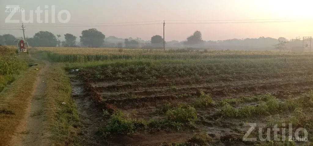 6.20 Bigha Agricultural Land for Sale - Land & Plots - Palanpur - Image 4