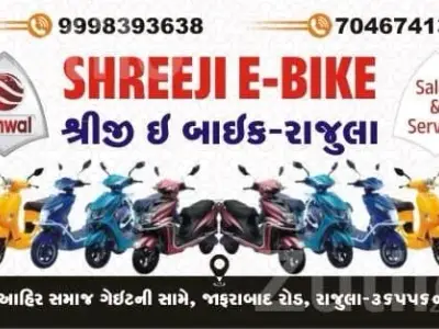 Tunwal Electric Bike Scooter