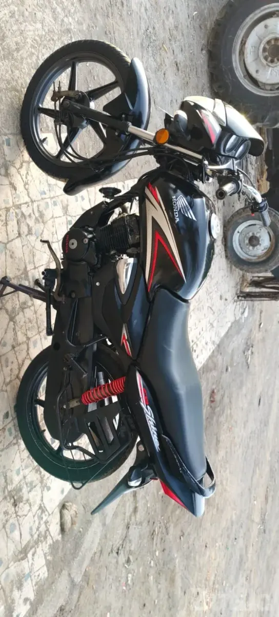 HONDA SHINE - બાઇક્સ - વંથલી - Image 2
