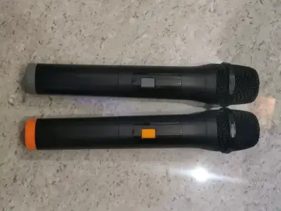 DJ Sound Box with 2 Wireless Microphones