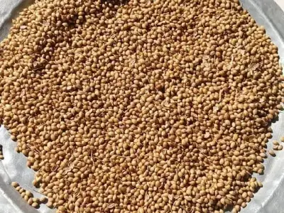 જમીન ભાગ મા આપવાની સે જમીન ભાગ મા આપવાની સે