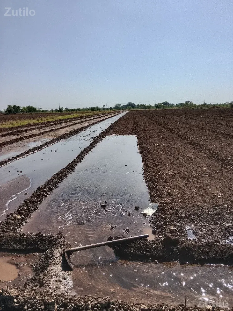 જમીન વેચવાની છે
33.વીઘા 12 ગુઠા ખાત - Land & Plots - Mandvi - Image 3