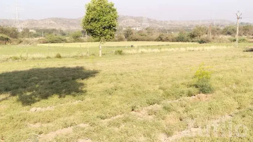 4 Acre Agricultural Land with House for Sale - જમીન અને પ્લોટ - વાંકાનેર - Image 4