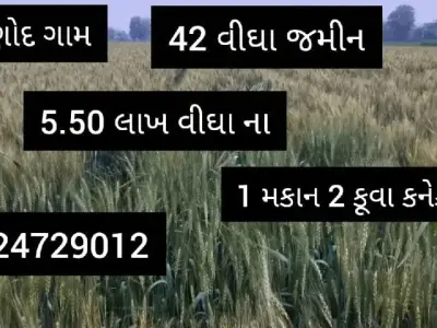 42 Bigha Farm Land with House Ganod 42 Bigha Farm Land with House Ganod