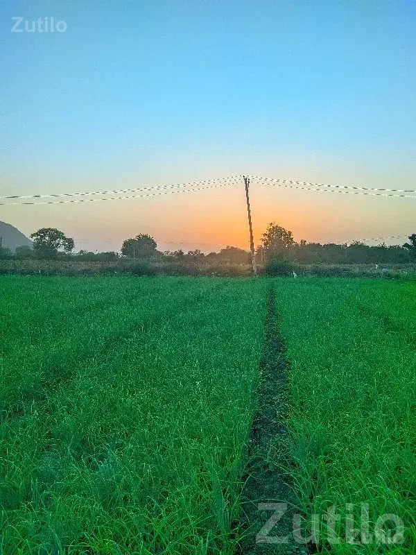 Fertile Agricultural Land Near Hills - જમીન અને પ્લોટ - ભાણવડ - Image 2