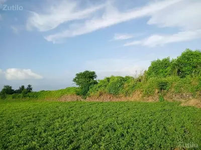 જમીન વેચવાની છે જમીન વેચવાની છે