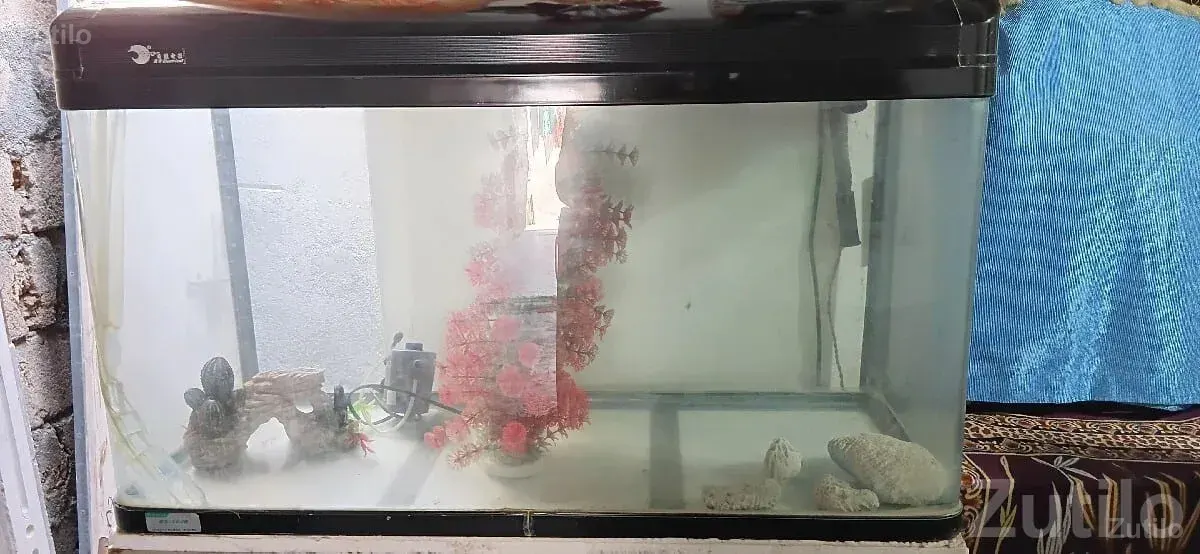 Large Glass Fish Aquarium With Stand - Other Hobby Items - Rajkot City - Image 3
