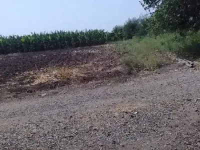 Fertile Agricultural Land for Sale Fertile Agricultural Land for Sale