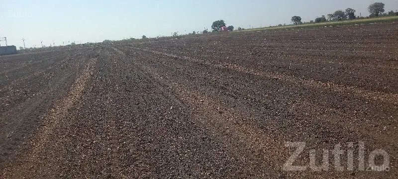 14.5 Vigha Agriculture Land Manavadar - જમીન અને પ્લોટ - માણાવદર - Image 2