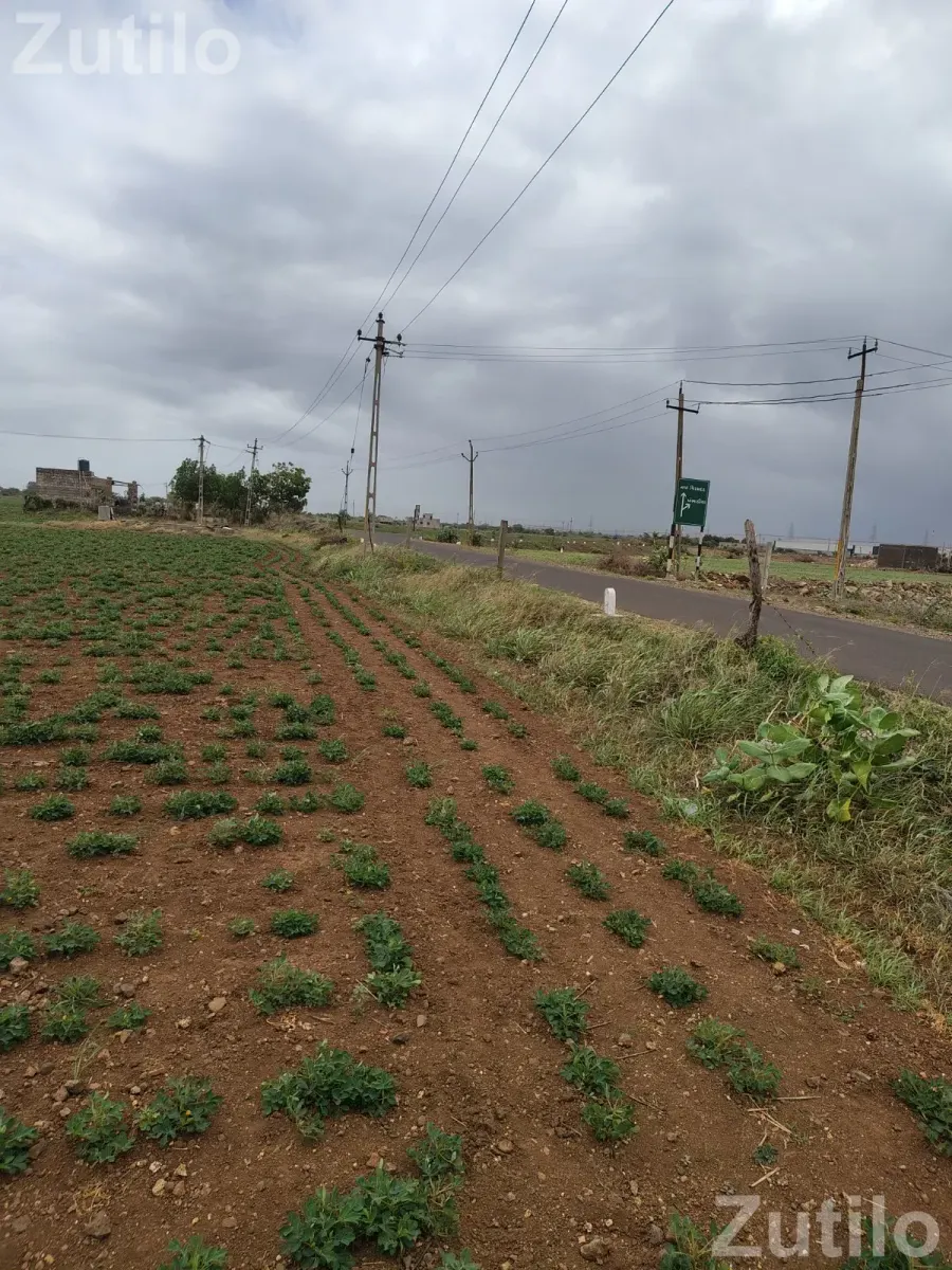 Jamin - જમીન અને પ્લોટ - ખંભાળિયા - Image 2