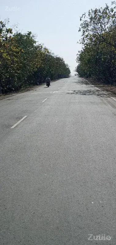 જમીન વેચવાની છે - જમીન અને પ્લોટ - ઊના - Image 1