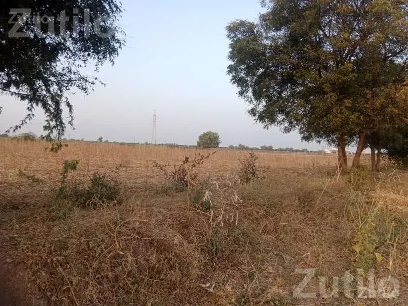 Agricultural Land for Sale Near NH 27 - જમીન અને પ્લોટ - ભુજ - Image 5