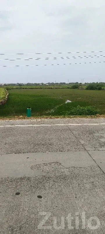 7.5 Vigha Road Touch Agriculture Land - જમીન અને પ્લોટ - છાયા - Image 2
