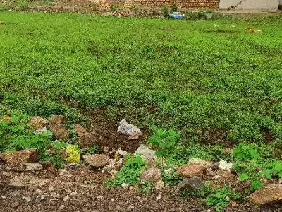 Residential Plot for Sale in Nilkanth Park Residential Plot for Sale in Nilkanth Park