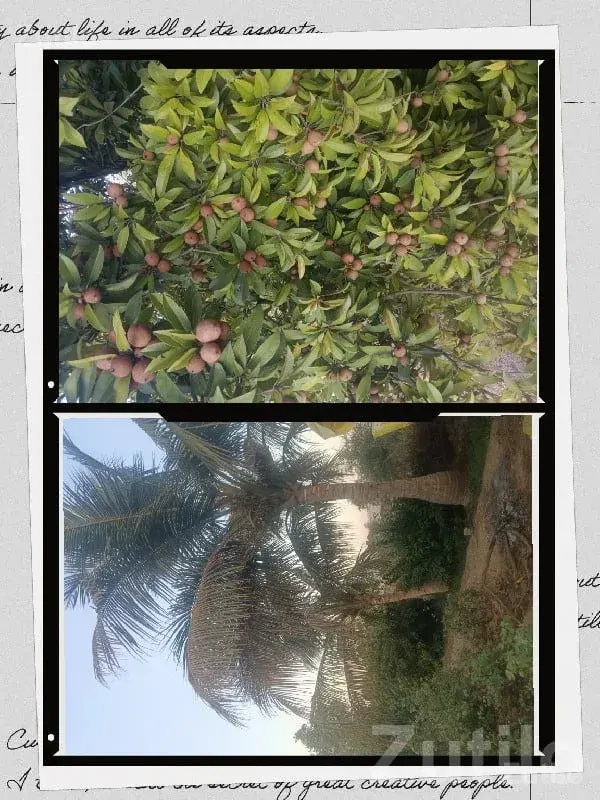 Savli Road-Touch Fertile Farmland Plot - Land & Plots - Savli - Image 3