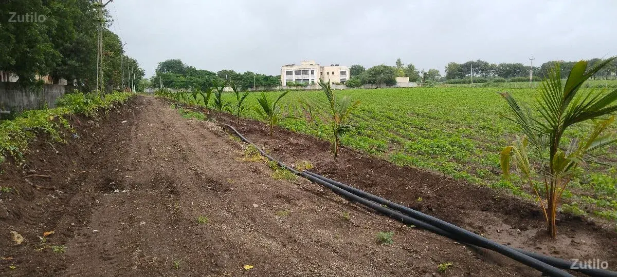 Dumiyani highway tach jamin - Land & Plots - Valod - Image 3