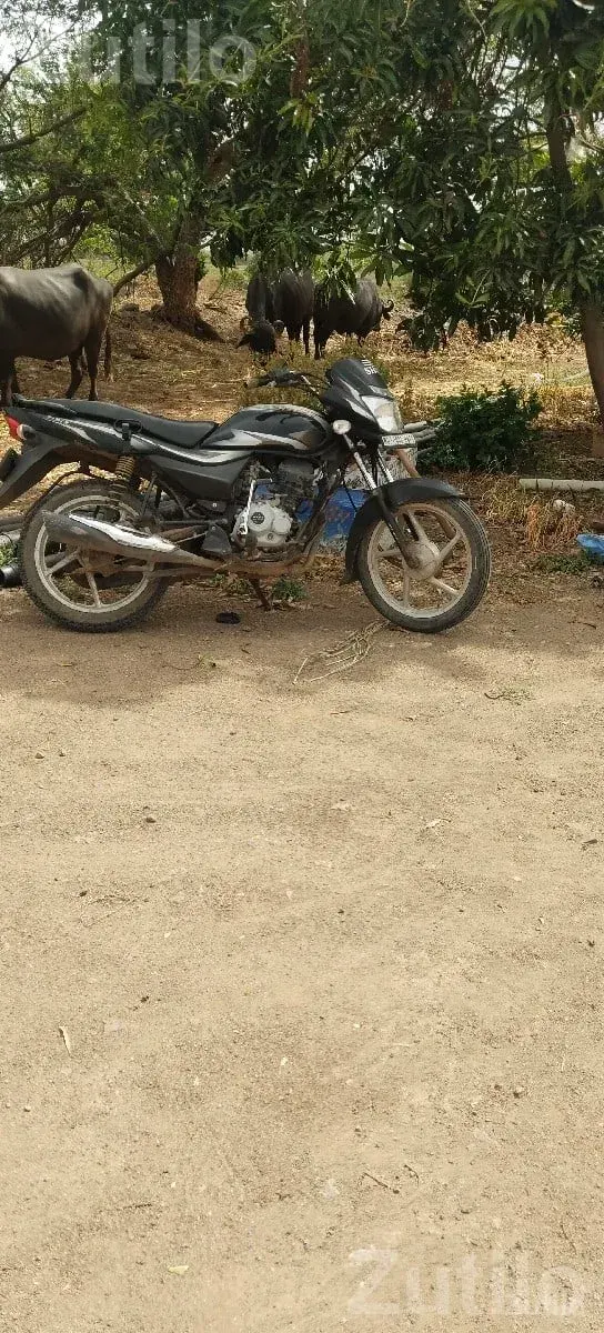 Bajaj Platina 2019 Motorcycle - Bikes - Khambhalia - Image 2