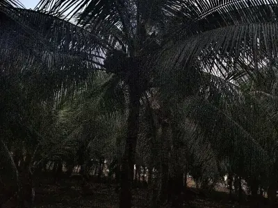 kheti layak jamin kheti layak jamin