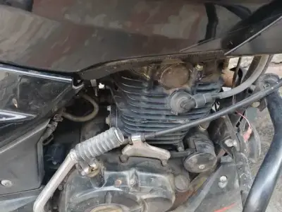 Bajaj Pulsar 125 2023 Bike for Sale