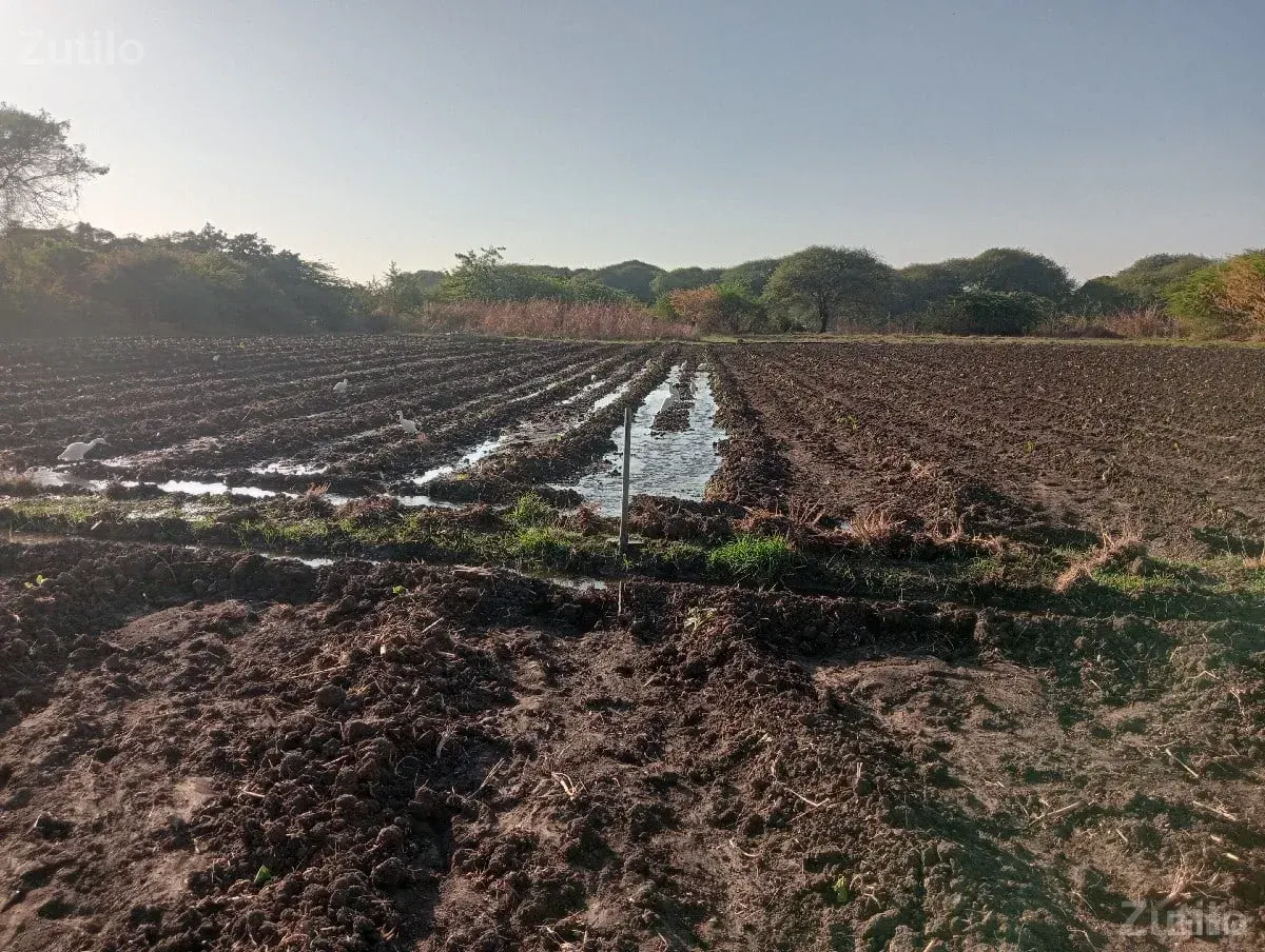 અખાટ આપવાની છે - Land & Plots - Mangrol - Image 2