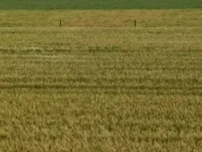 જમીન વેચવાની છે જમીન વેચવાની છે